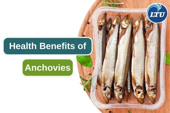 7 Health Benefits You Can Get from Anchovies 